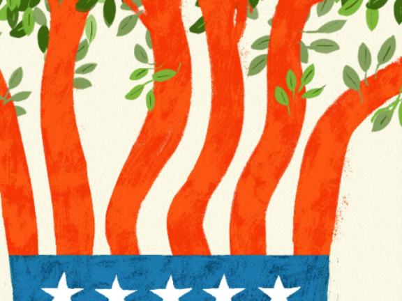 2022 Annual Report cover illustration