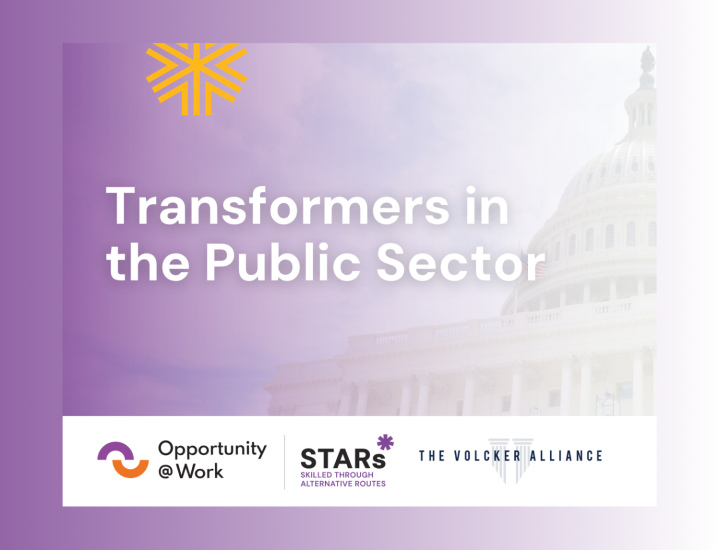 Transformers in the Public Sector title image
